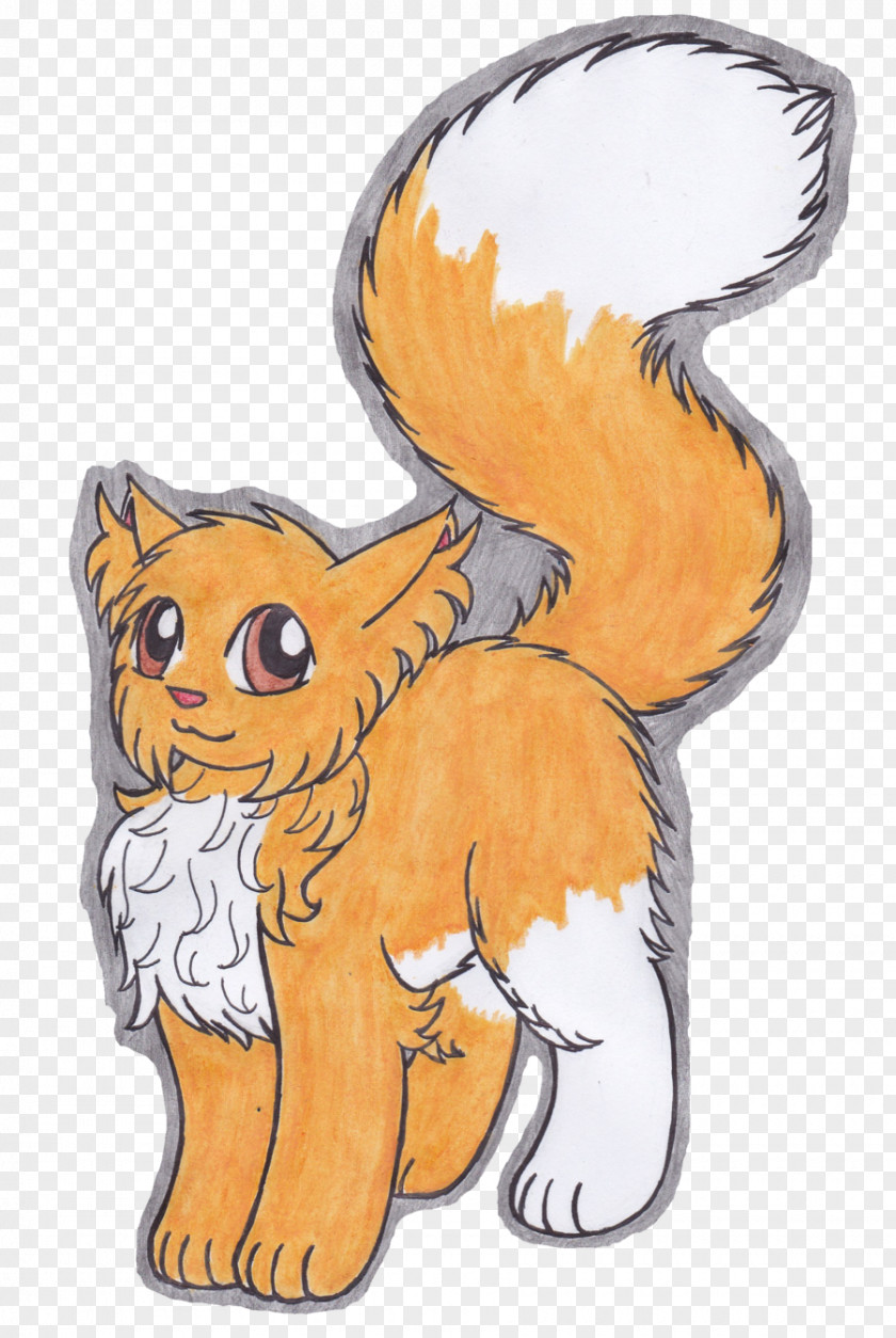 Cat Whiskers Red Fox Bear Dog PNG