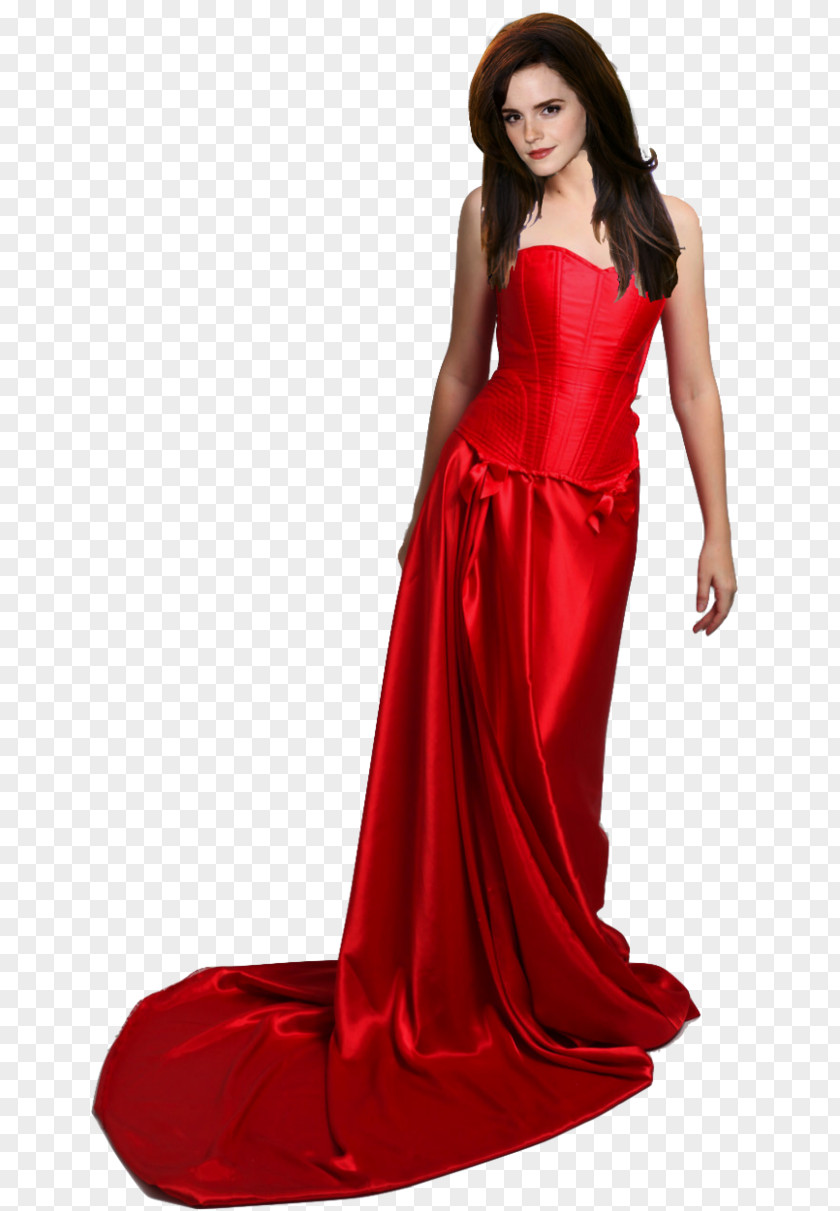 Dress Evening Gown Prom Sleeve PNG