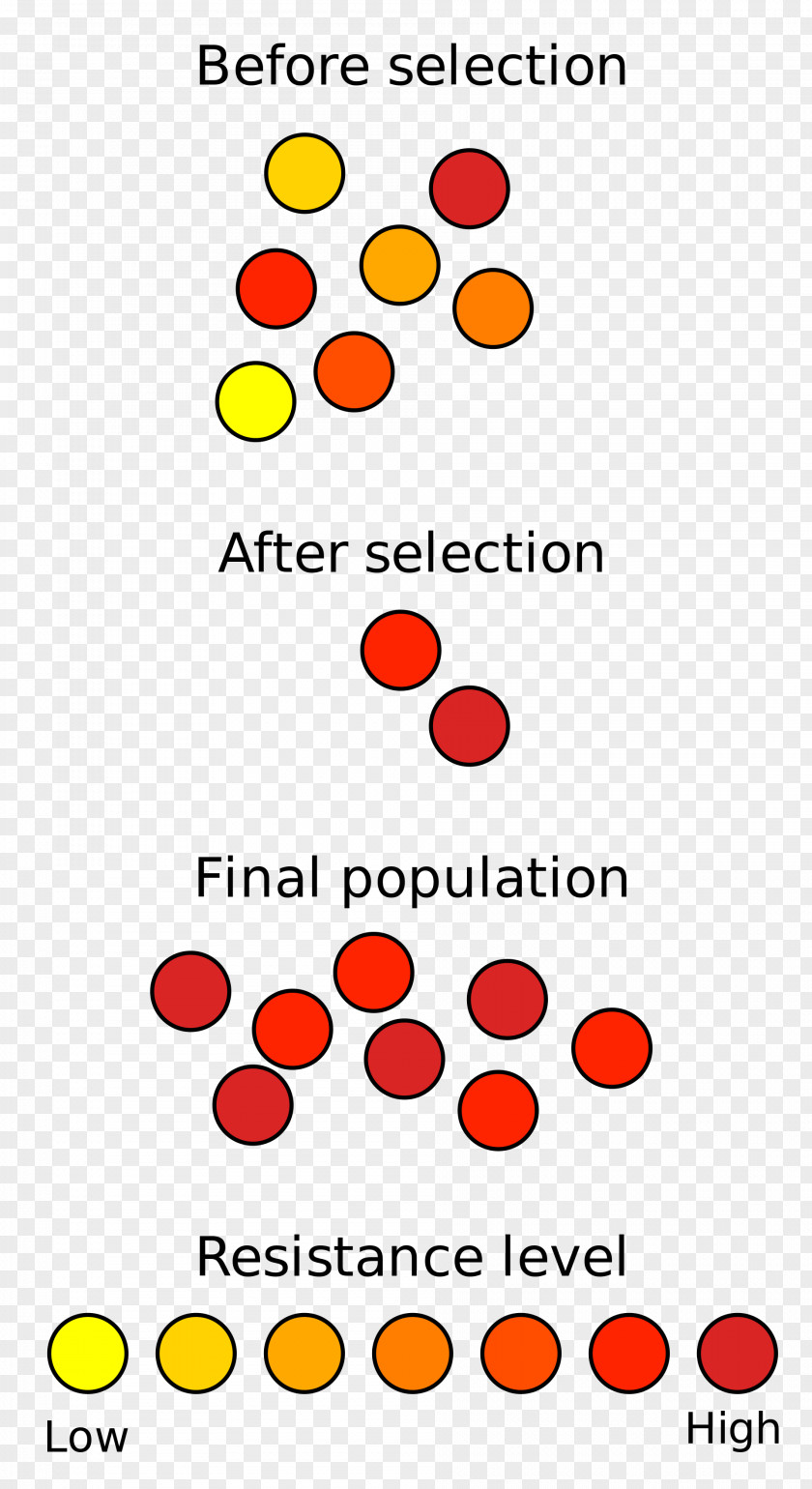 Drug Resistance Campbell Biology: Concepts And Connections Natural Selection Evolution Nature PNG