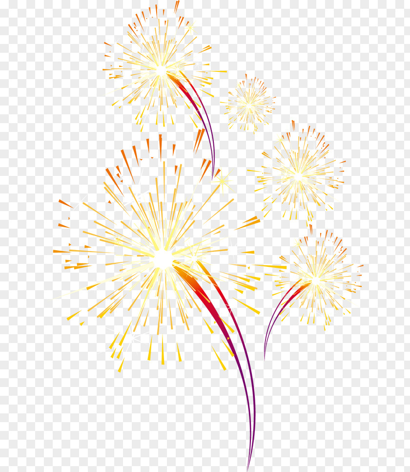 Fireworks Text Petal Yellow Illustration PNG