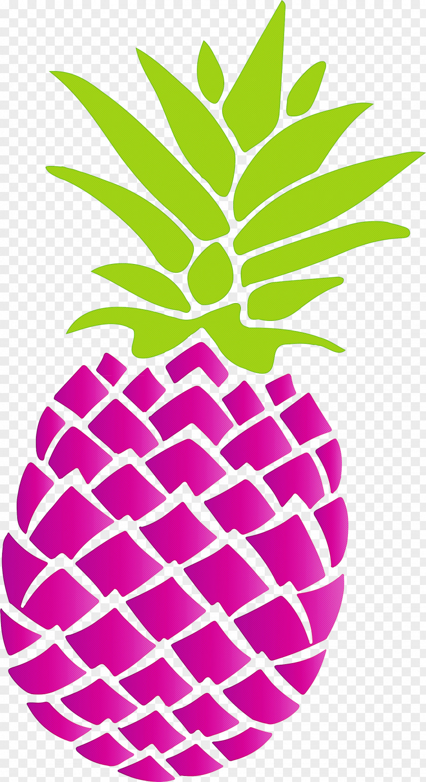 Pineapple Tropical Summer PNG