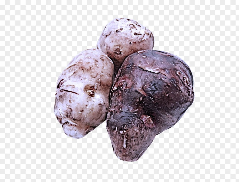 Tuber PNG