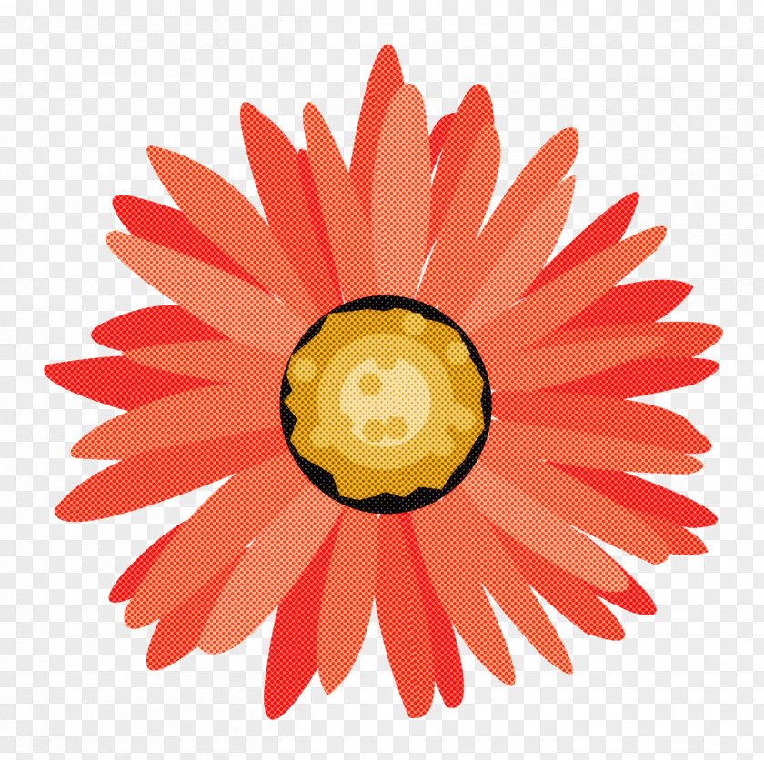 Yellow Flower Gerbera Petal Plant PNG