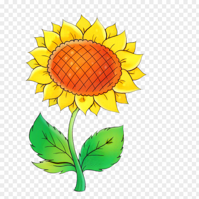 Common Sunflower Cut Flowers Plant Stem Clip Art Seed PNG