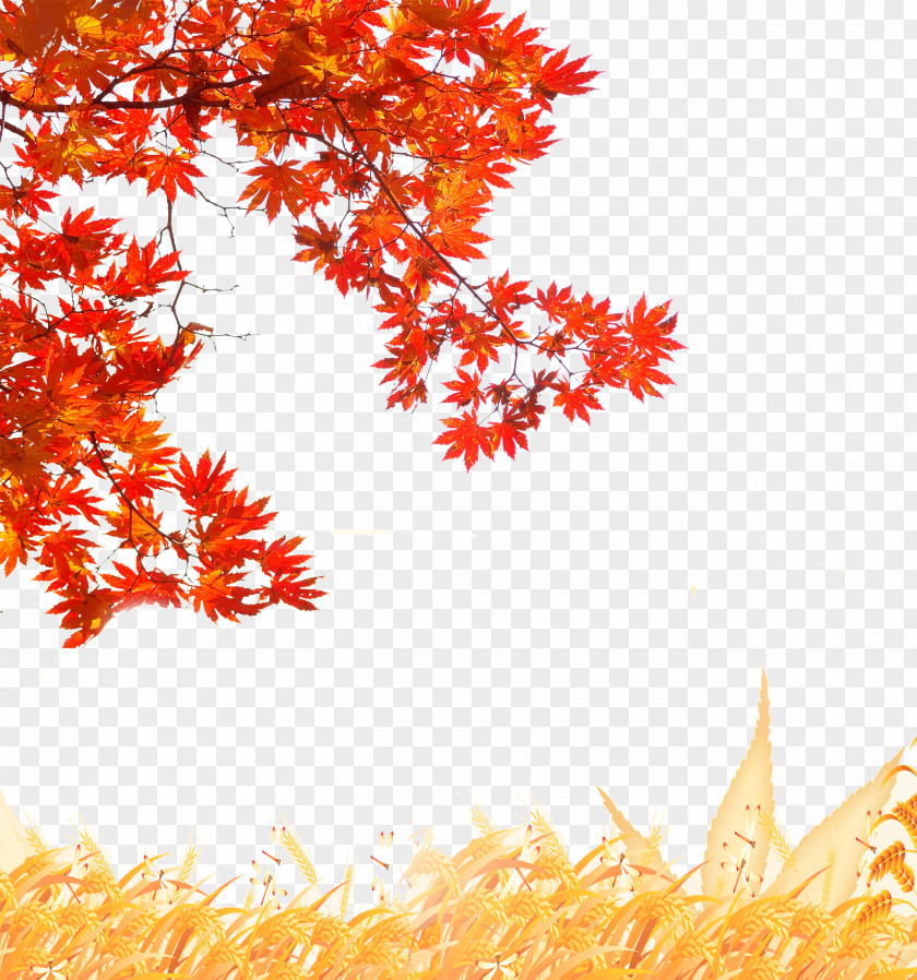 Creative Autumn PNG