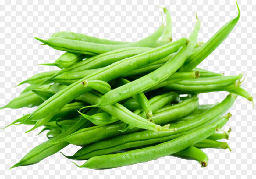 Green Lettuce Bean Vegetarian Cuisine Vegetable Food PNG