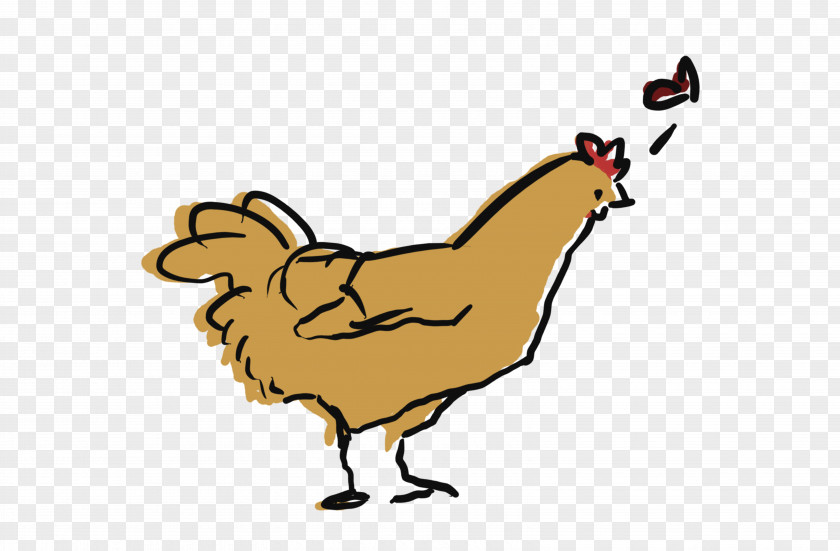Running Chicken Rooster Fauna Beak As Food Clip Art PNG