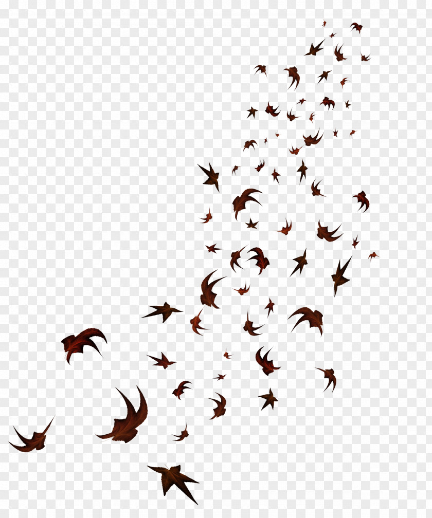 Bat Maple Leaf PNG