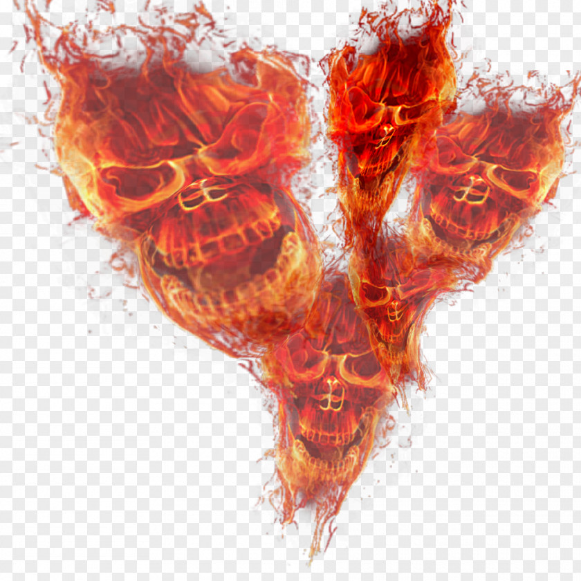 Flame Skull Fire Light PNG