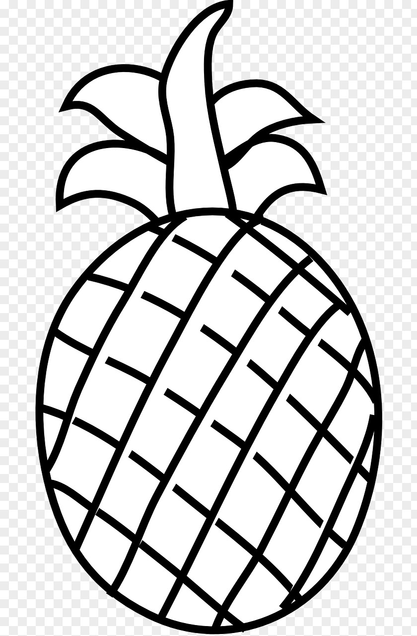 Pineapple Coloring Book Fruit Salad PNG
