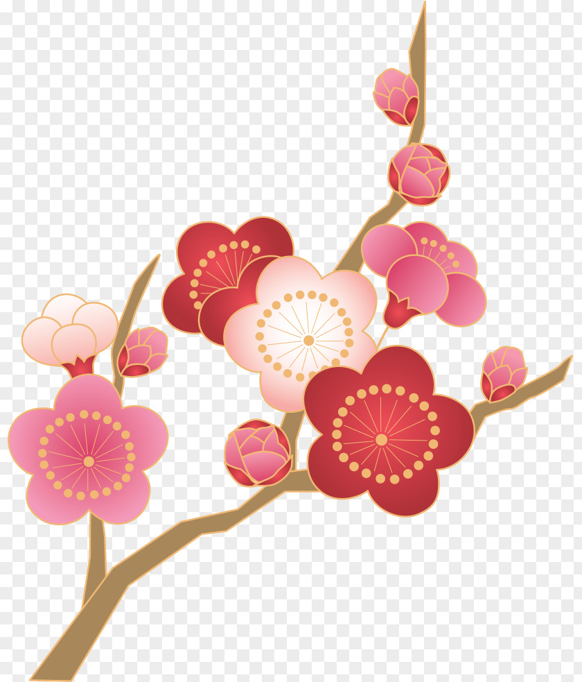 Plum Blossom Japan Thermoses Photography PNG