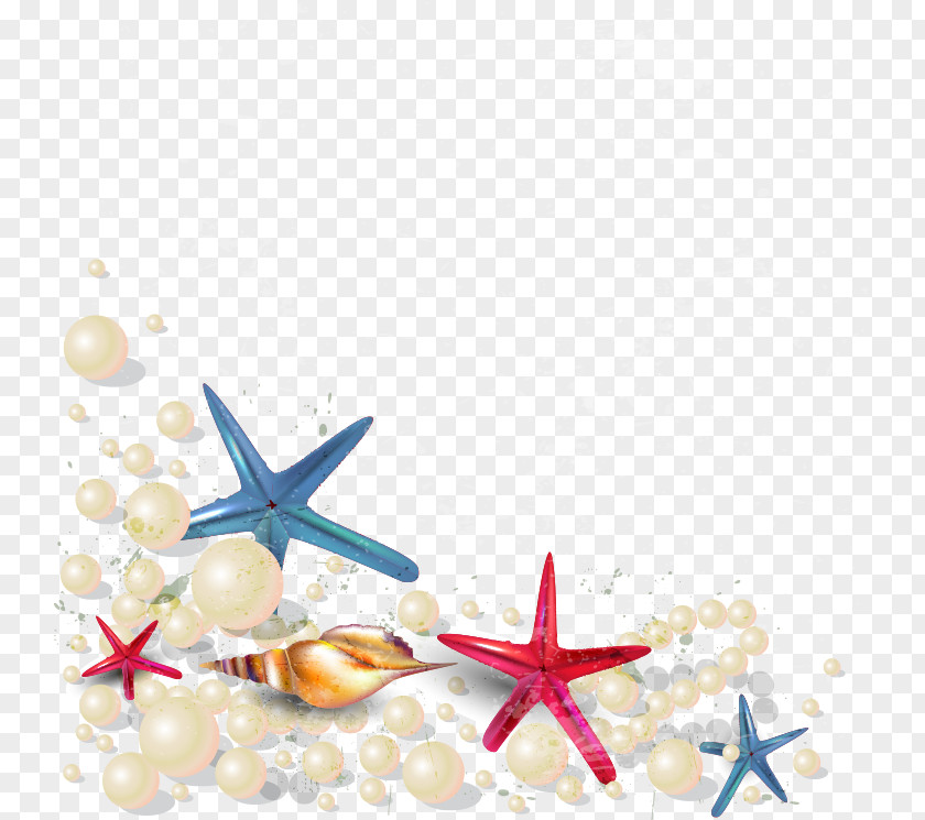 Beach Starfish Wallpaper PNG