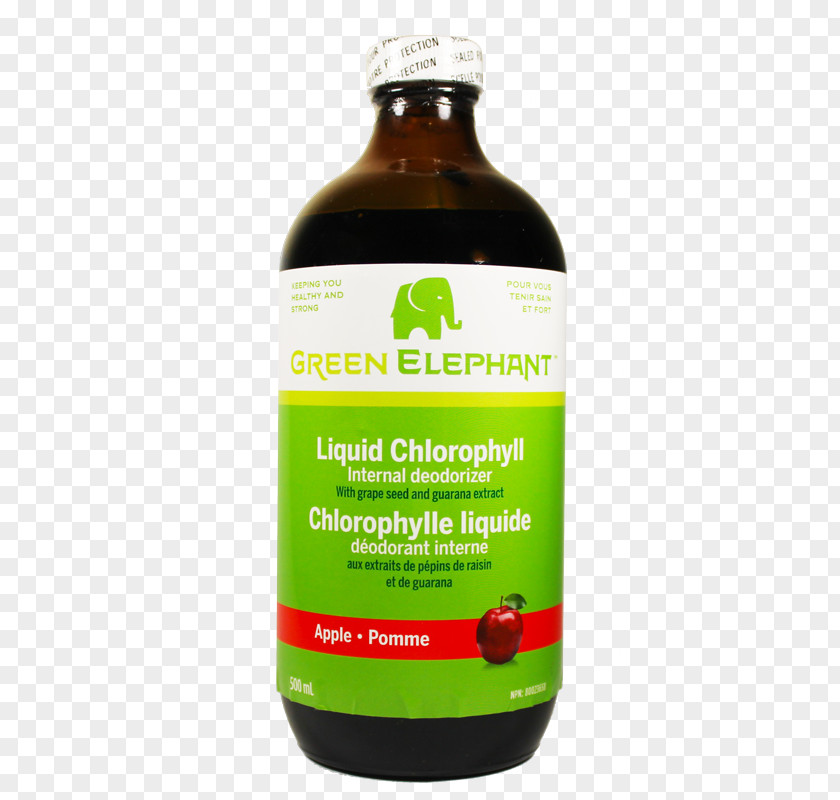 Blood Liquid Chlorophyll Green PNG