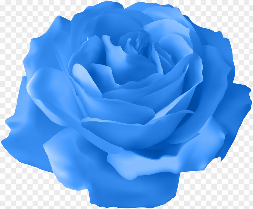 Blue Rose Transparent Clip Art Image Purple PNG