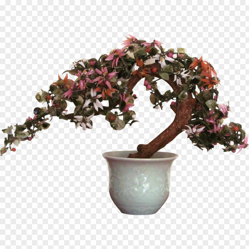 Bonsai Tree Jade Plant Flowerpot PNG