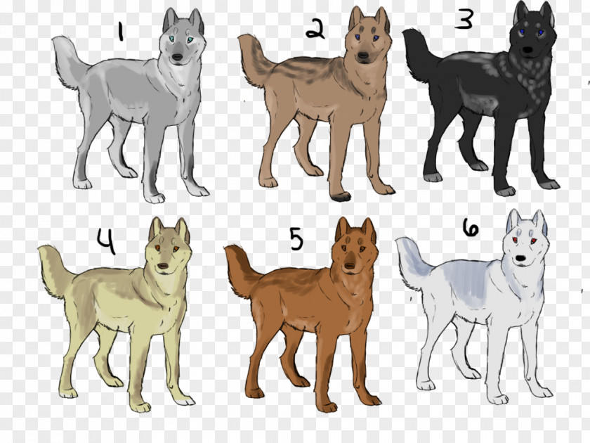 Pet Adoption Shikoku Dog Breed Puppy Cat Paw PNG