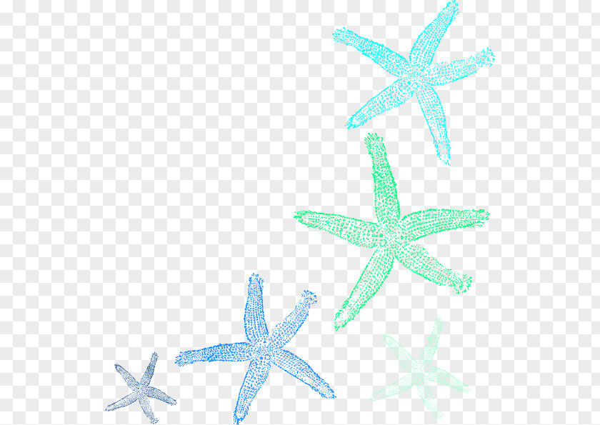 Seabed Vector Starfish Clip Art PNG