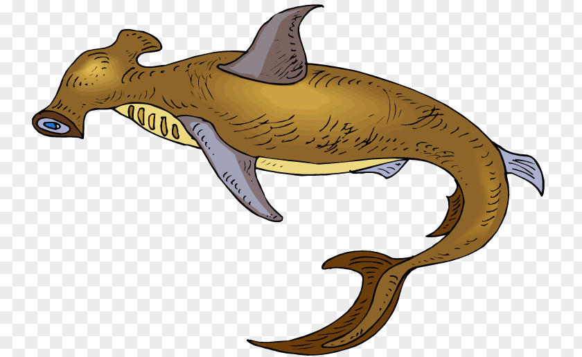 Shark Tiger Hammerhead Clip Art PNG
