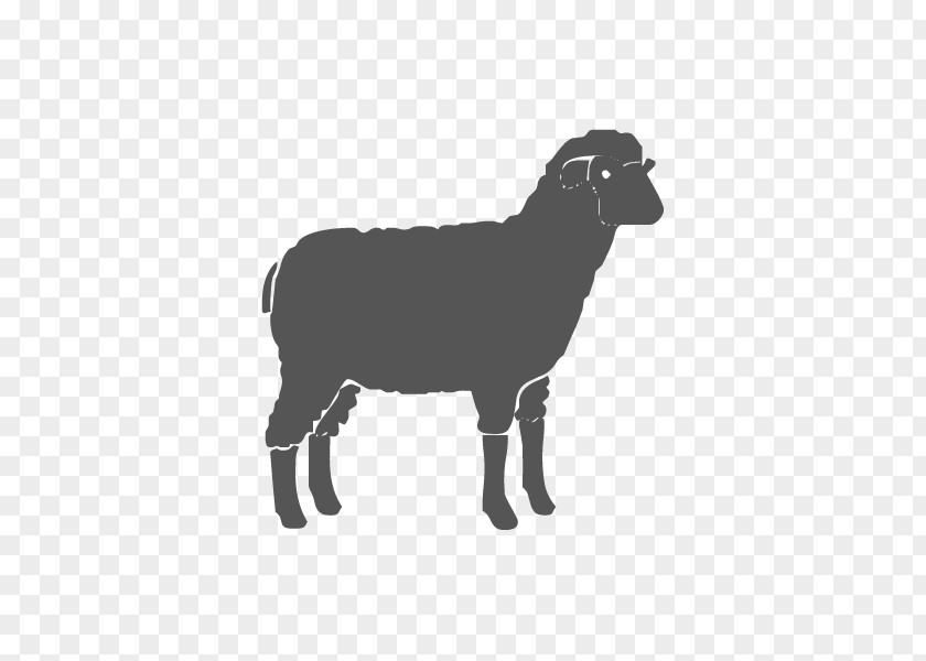 Sheep Dog Goat Veterinarian Shepherd PNG
