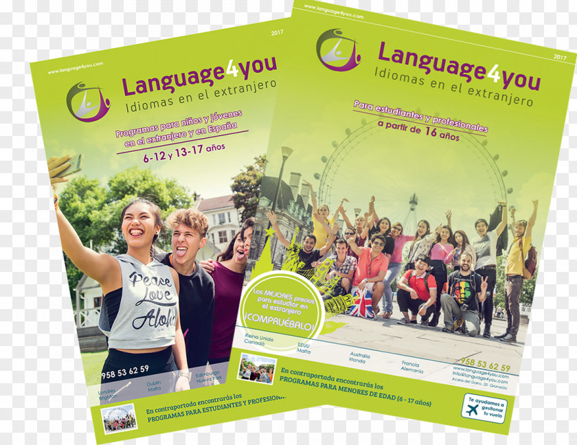Alli Translation Knowledge Language4you Summer Camp Academic Year PNG