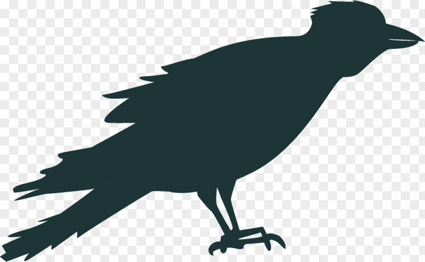 American Crow Crowlike Bird Raven Halloween PNG