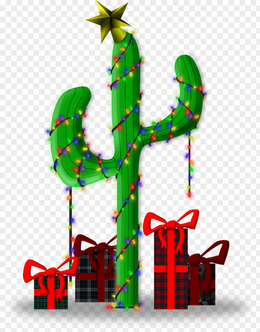 Cactus Wallpaper Digital Art DeviantArt Photography Death PNG