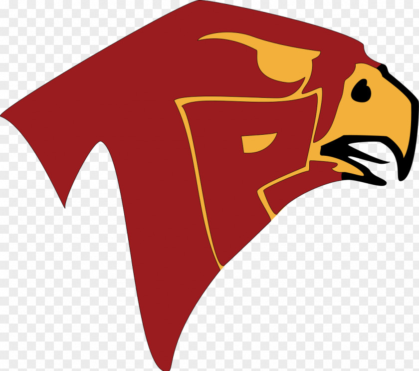 Falcon Vector Torrey Pines High School Canyon Crest Academy San Dieguito National Secondary PNG