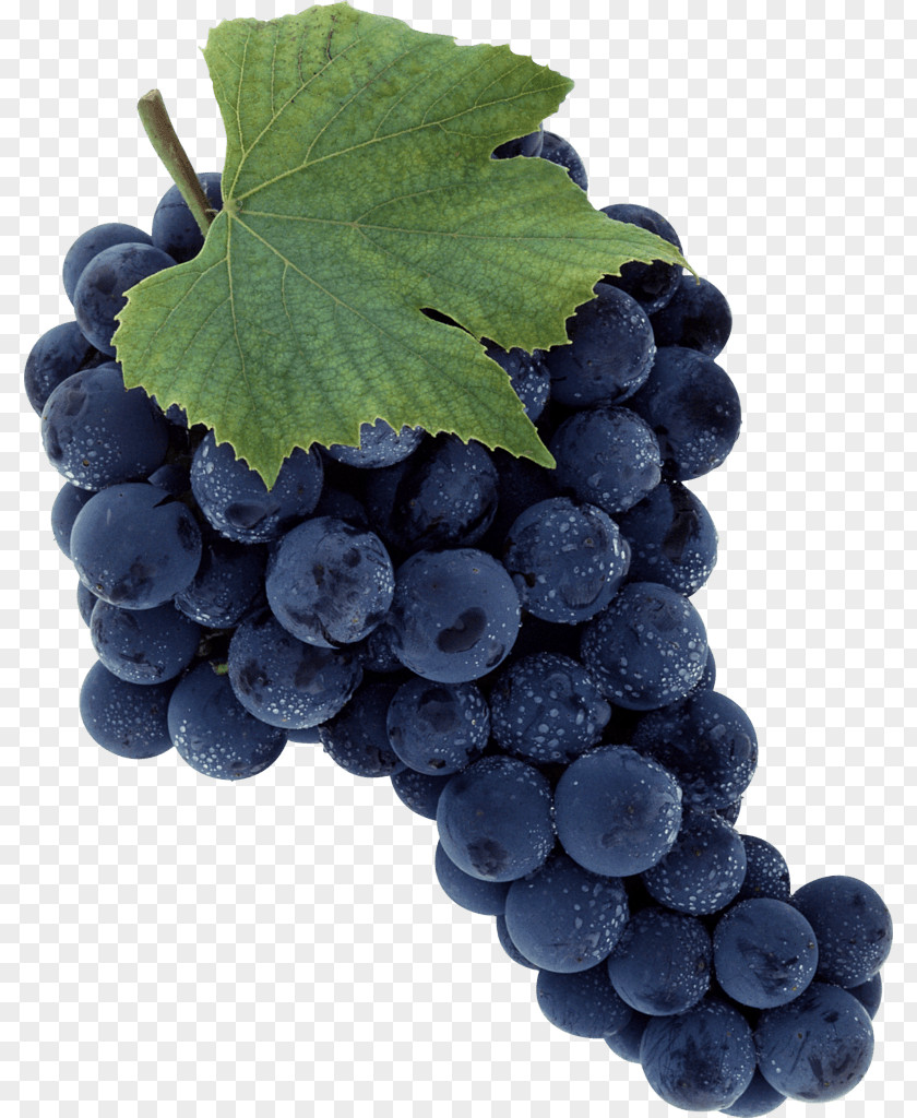 Grape Image Download Picture Common Vine PNG