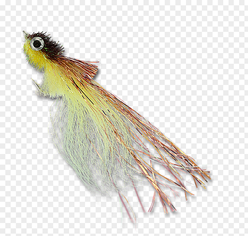 Tarpon Flies Minnow Copper The Fly Le Cancre Feather PNG