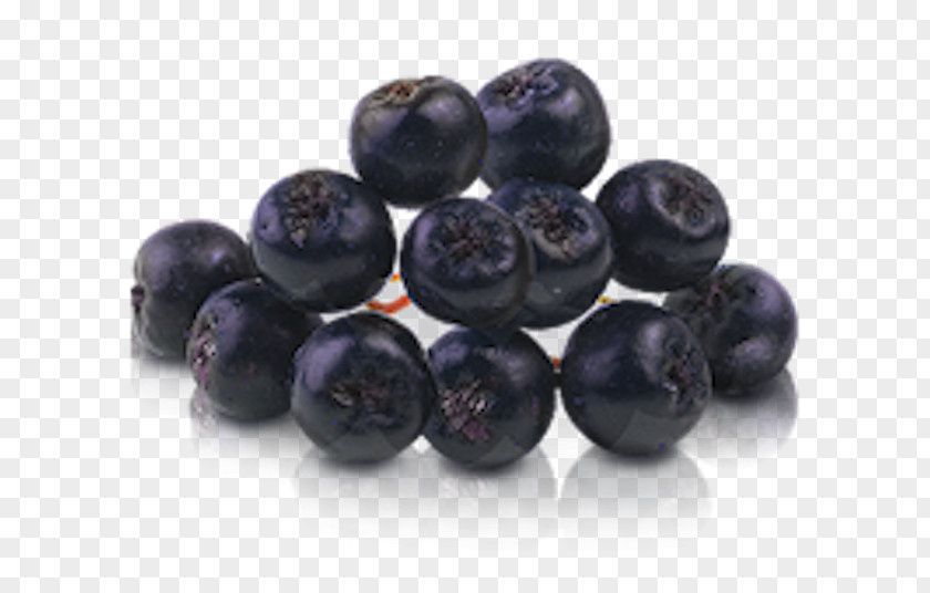 Blueberry Bilberry Huckleberry Aronia Melanocarpa PNG