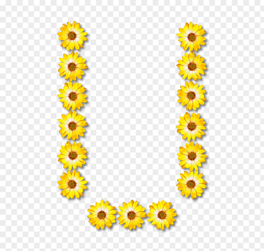 Flower Letter Alphabet Floral Design Clip Art PNG