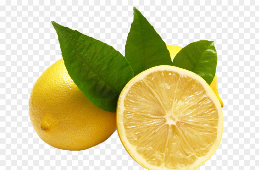 Fresh Lemon Lemonade Citric Acid Citron Meyer PNG