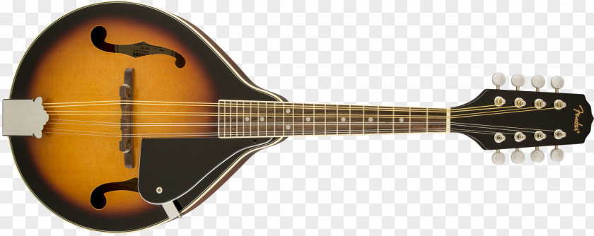 Guitar Mandolin Acoustic-electric Musical Instruments Acoustic PNG