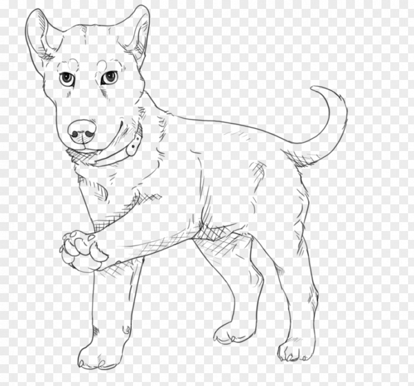 Husky Dog Breed Puppy Line Art Drawing PNG