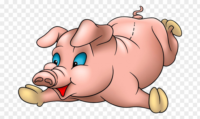 Pig Piglet Cartoon PNG