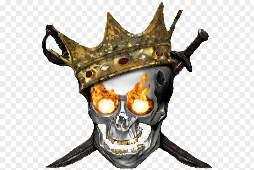 Skulls Skull Piracy Computer Software PNG