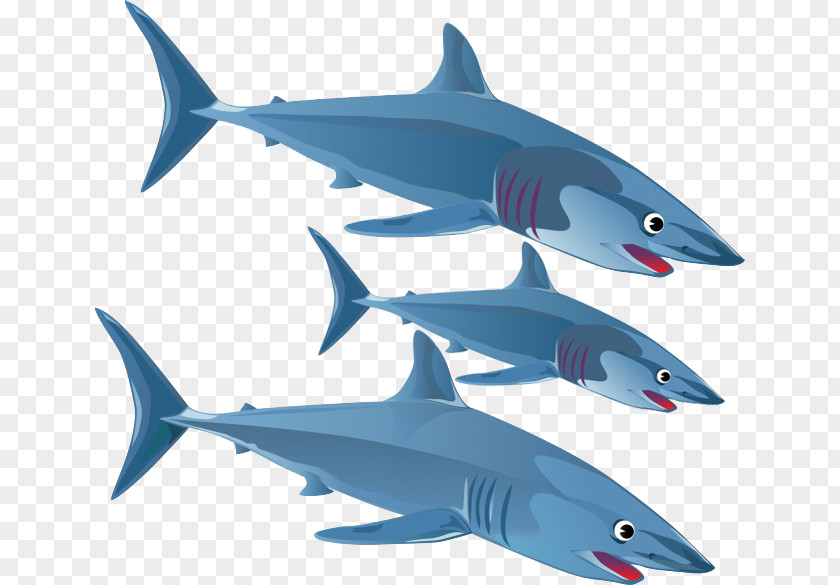 Three Shark Blue Great White Clip Art PNG