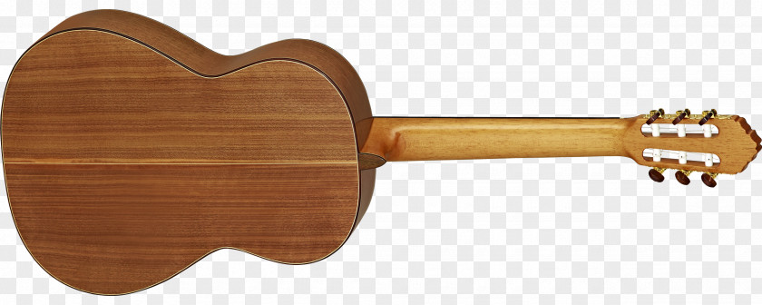 Amancio Ortega Ukulele Musical Instruments Luna Guitars String PNG