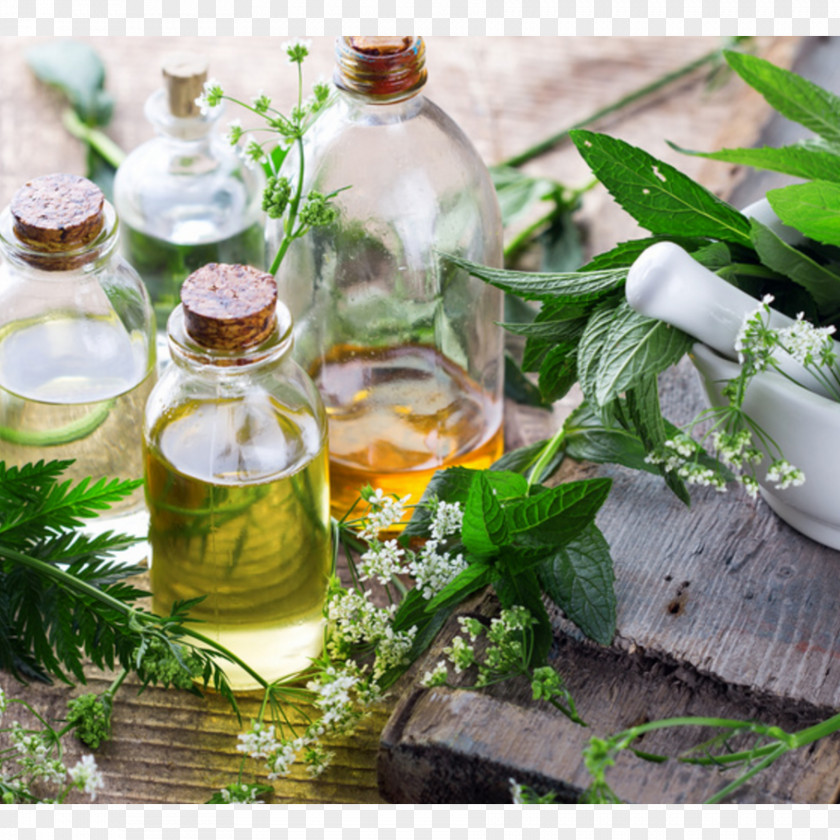Oil Essential Petitgrain Tea Tree Natural Skin Care PNG