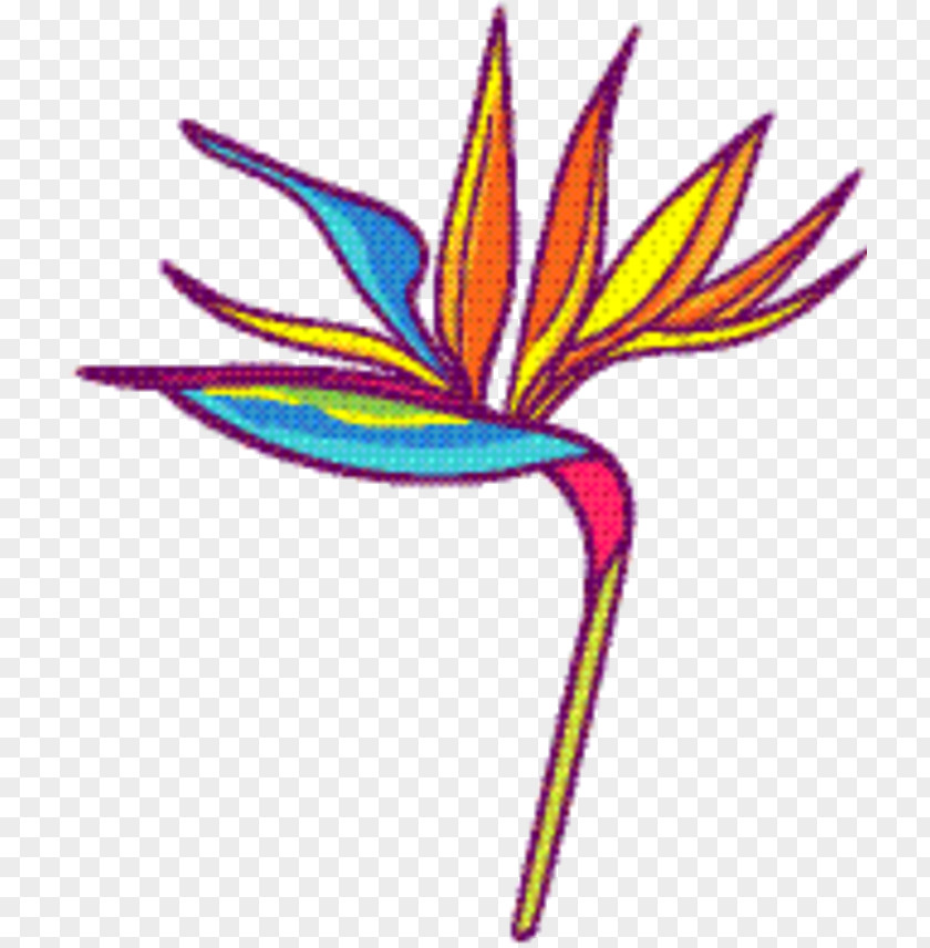 Petal Flower Bird Of Paradise PNG