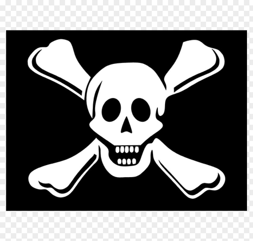 Pirate Flag Jolly Roger Flown Piracy Pirat PNG