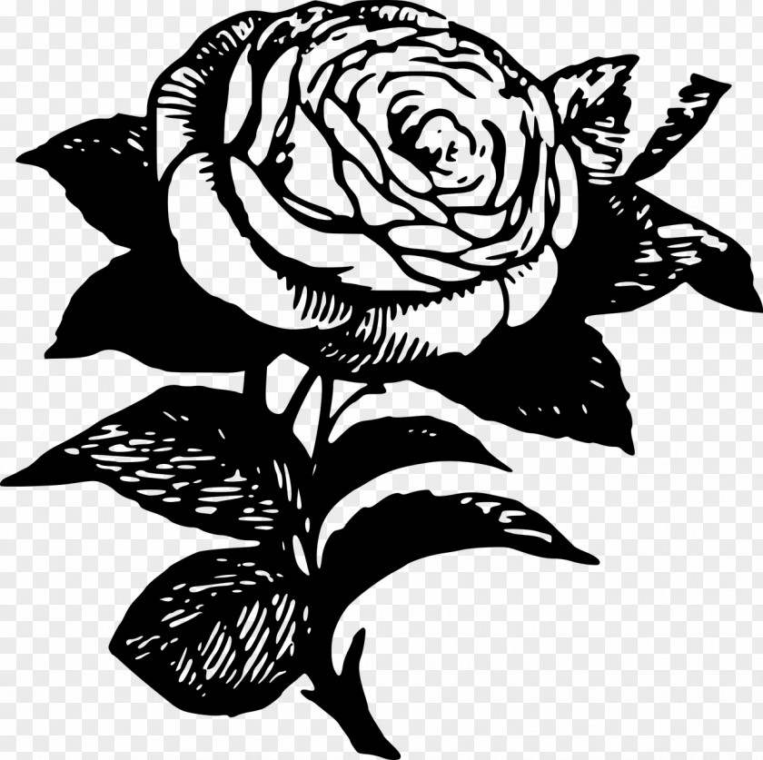 Rose Tattoo Black Drawing Clip Art PNG