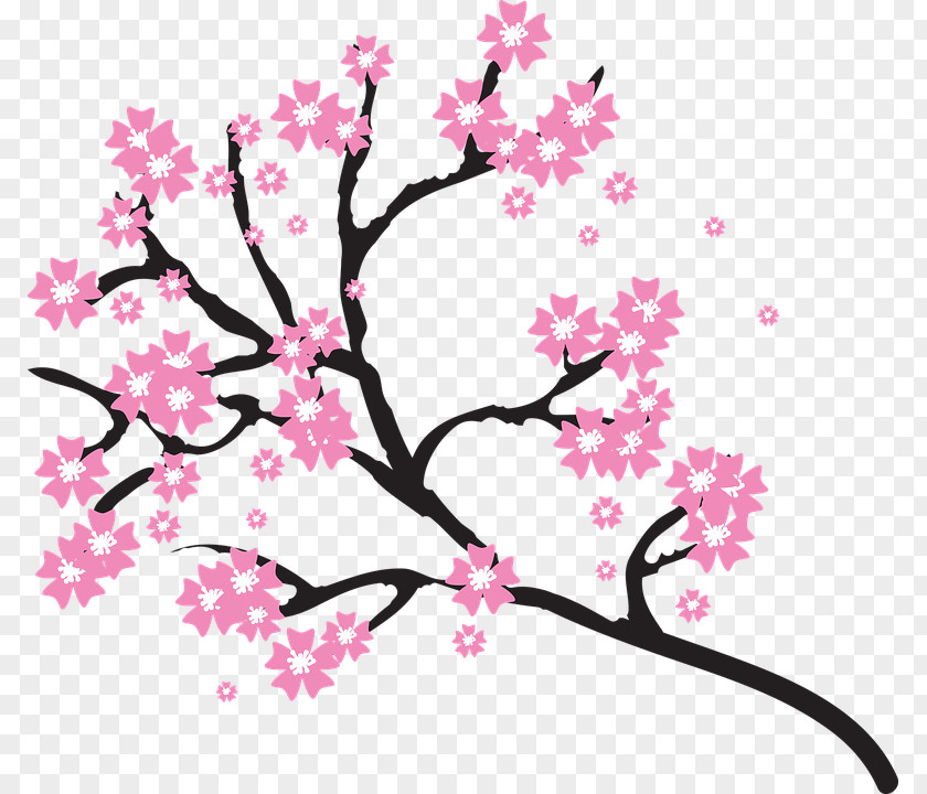 Cherry Blossom Clip Art Openclipart PNG