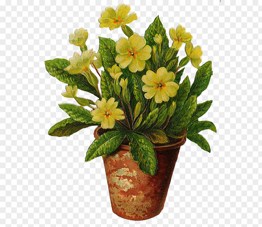 Flowers Pot Flowerpot Vase Clip Art PNG