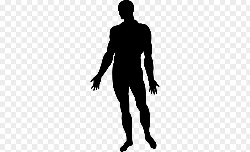 Human Body Silhouette Person PNG