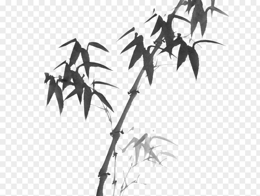 Bamboo Black And White Chinese Painting PNG