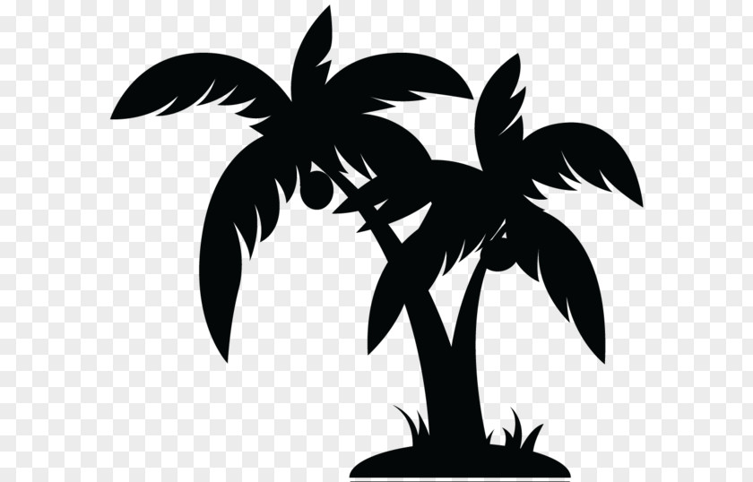 Black And White Images Of Trees Arecaceae Tree Clip Art PNG