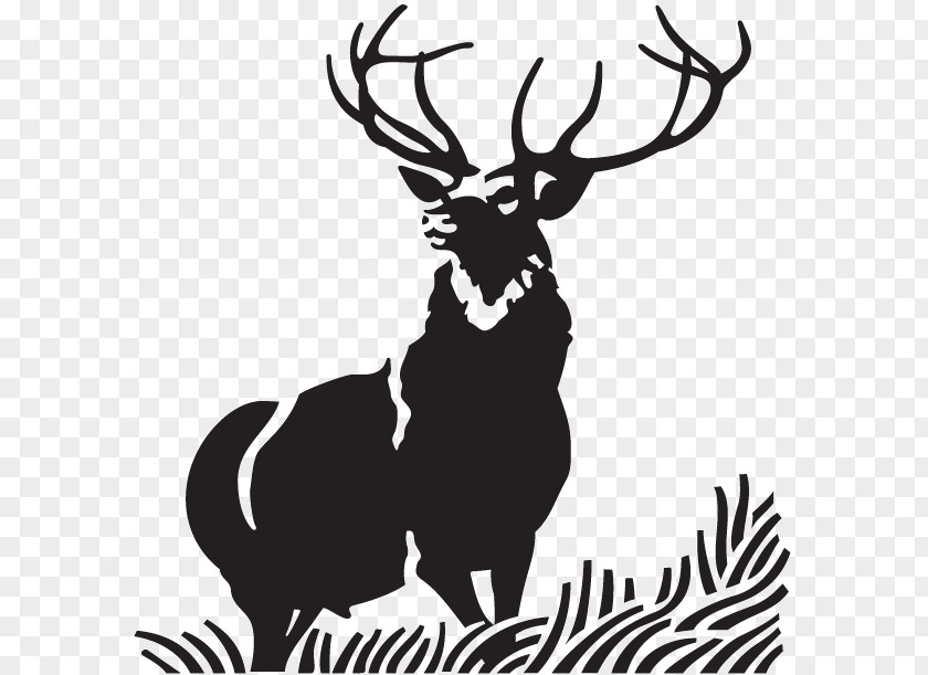 Deer Red Elk Moose Clip Art PNG