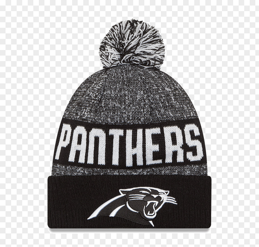 Knit Cap Carolina Panthers Los Angeles Rams Miami Dolphins NFL Detroit Lions PNG