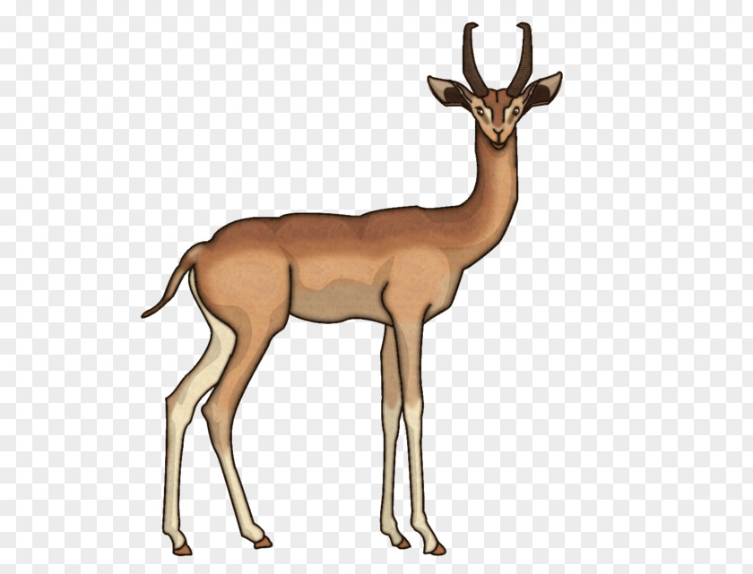 Gazelle Impala Springbok Antelope Gerenuk Elk PNG
